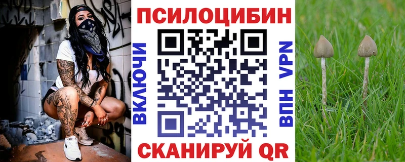 Псилоцибиновые грибы Psilocybe  Дыгулыбгей 
